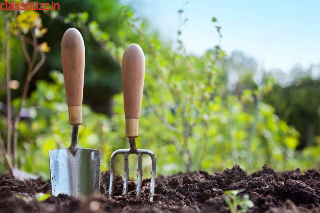 ways to Top 5 Eco-Friendly Lifestyle Changes for 2025